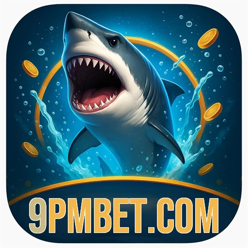 9pmbet.com logo